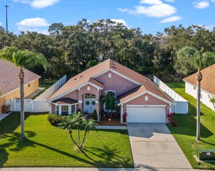 2623 Gold Dust Circle, Kissimmee