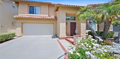 2 Osprey Avenue, Aliso Viejo