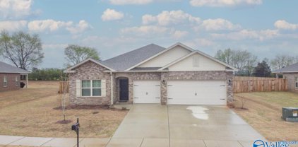 22268 Westminster Drive, Athens