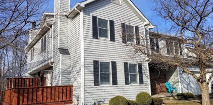 173 Stepping Stone  Lane, Orchard Park-146089