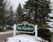 7650 Bay Meadow Drive, Harbor Springs image
