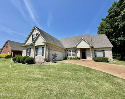 791 Palmer Drive, Hernando