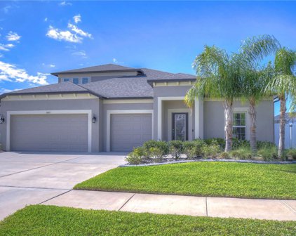 11421 Acacia Grove Lane, Riverview