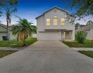 10533 Opus Drive, Riverview image