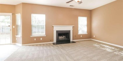 416 Lily Shoals Lane, Dacula