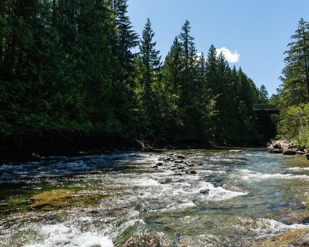 Black Creek Real Estate
