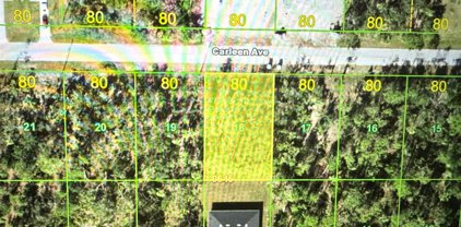 17139 Carleen Avenue, Port Charlotte