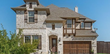 3309 Stone Canyon  Drive, Mansfield