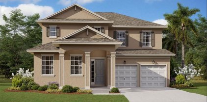 697 Brackenberry Street, Debary