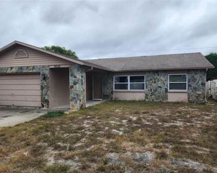 8628 Huntsman Lane, Port Richey