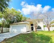 655 Cohn Lane, Safety Harbor image