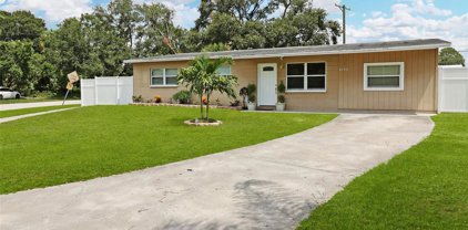 4733 El Dorado Drive, Tampa