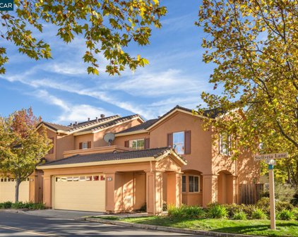 7648 Stellaria Ln, San Ramon