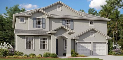 14255 Crest Palm Avenue, Windermere