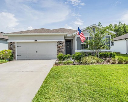 1086 Manzanar Place, Wesley Chapel