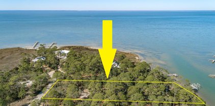 1239 Avocet Ln, St. George Island