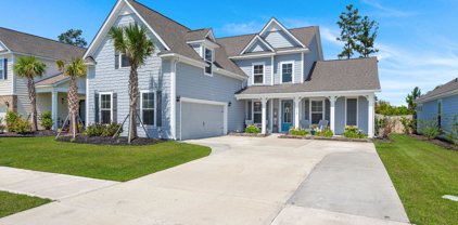 612 Chigwell Springs Lane, Summerville