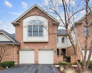 1222 Ashbury Drive, Lemont image