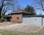Gadsden image