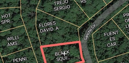 26 Gancho, Hot Springs Village