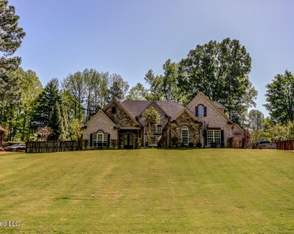 4238 W Dickens Pl Drive, Southaven
