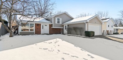 234 Lincolnshire Lane, Bolingbrook