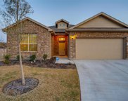 9105 Red Brush  Trail, Fort Worth image