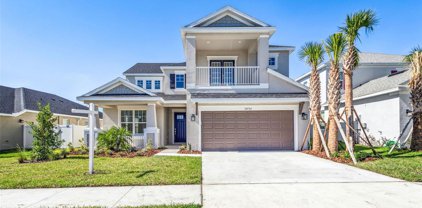 33732 Astoria Circle, Wesley Chapel