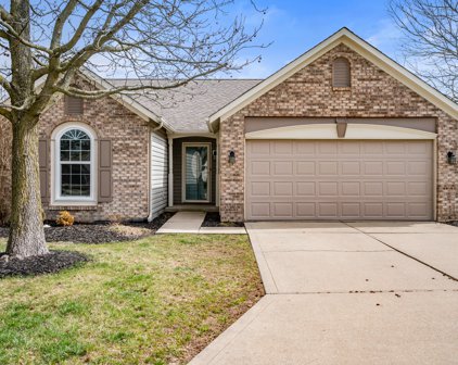 13217 Golden Ash Court, Fishers