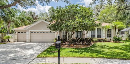 4102 Imperial Eagle Drive, Valrico