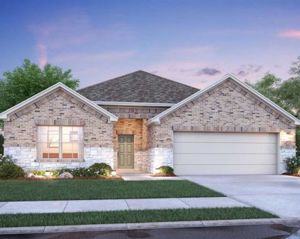 22410 Birchfield Grove Lane, New Caney