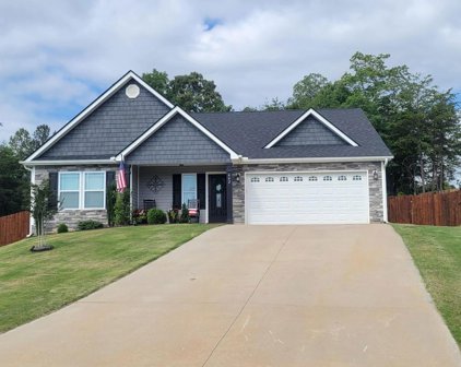 442 Camden Lee, Inman