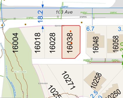 16038 103 Avenue, Surrey