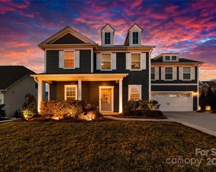 16002 Weeping Valley  Drive, Fort Mill