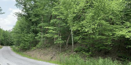 TBD (Lot 17) Denby Cove Subdivision, Mount Ida