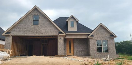 3421 Valencia, Jonesboro