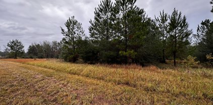 26800 Acres. Highway 613, Lucedale