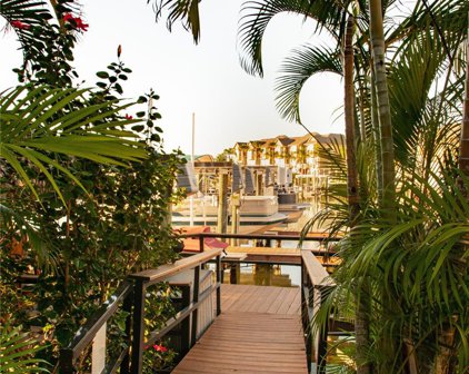 8714 Cove Court, Tampa