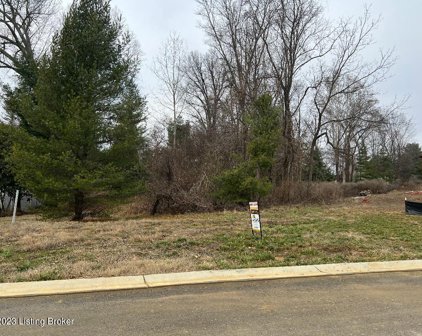 7502 Hunting Green Dr, Prospect