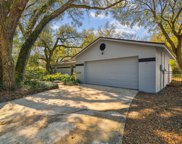 2321 Towery Trail, Lutz image