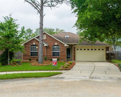 4943 Linden Place, Pearland