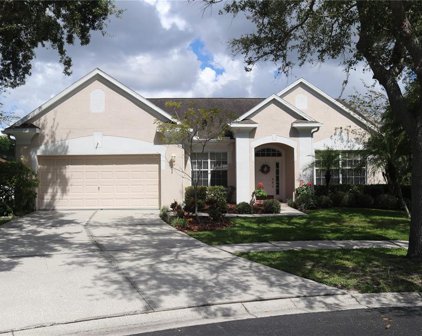 12903 Greenville Court, Tampa