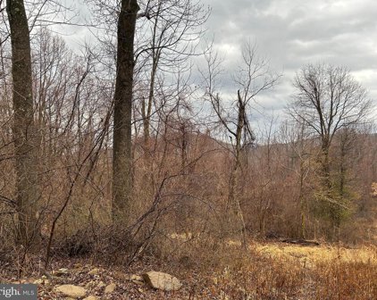 Lot 2 Fiery Run, Linden