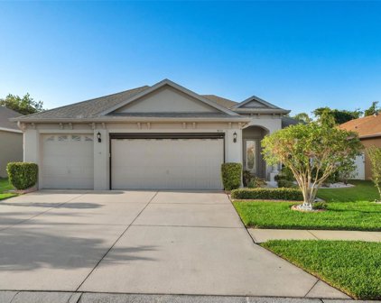 9101 Luncarty Drive, Hudson
