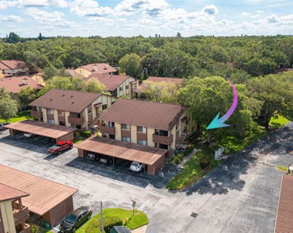 2363 Newburg Lane Unit B, Safety Harbor