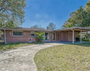 10111 Alambra Avenue, Tampa image