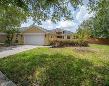 4734 Whispering Wind Avenue, Tampa