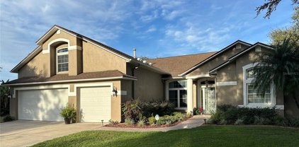 8629 Herons Cove Place, Tampa