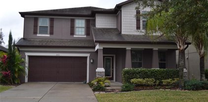 3031 Winglewood Circle, Lutz