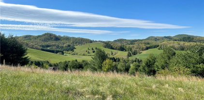 TBD (Lot 41) Crain Branch Lane, Jefferson